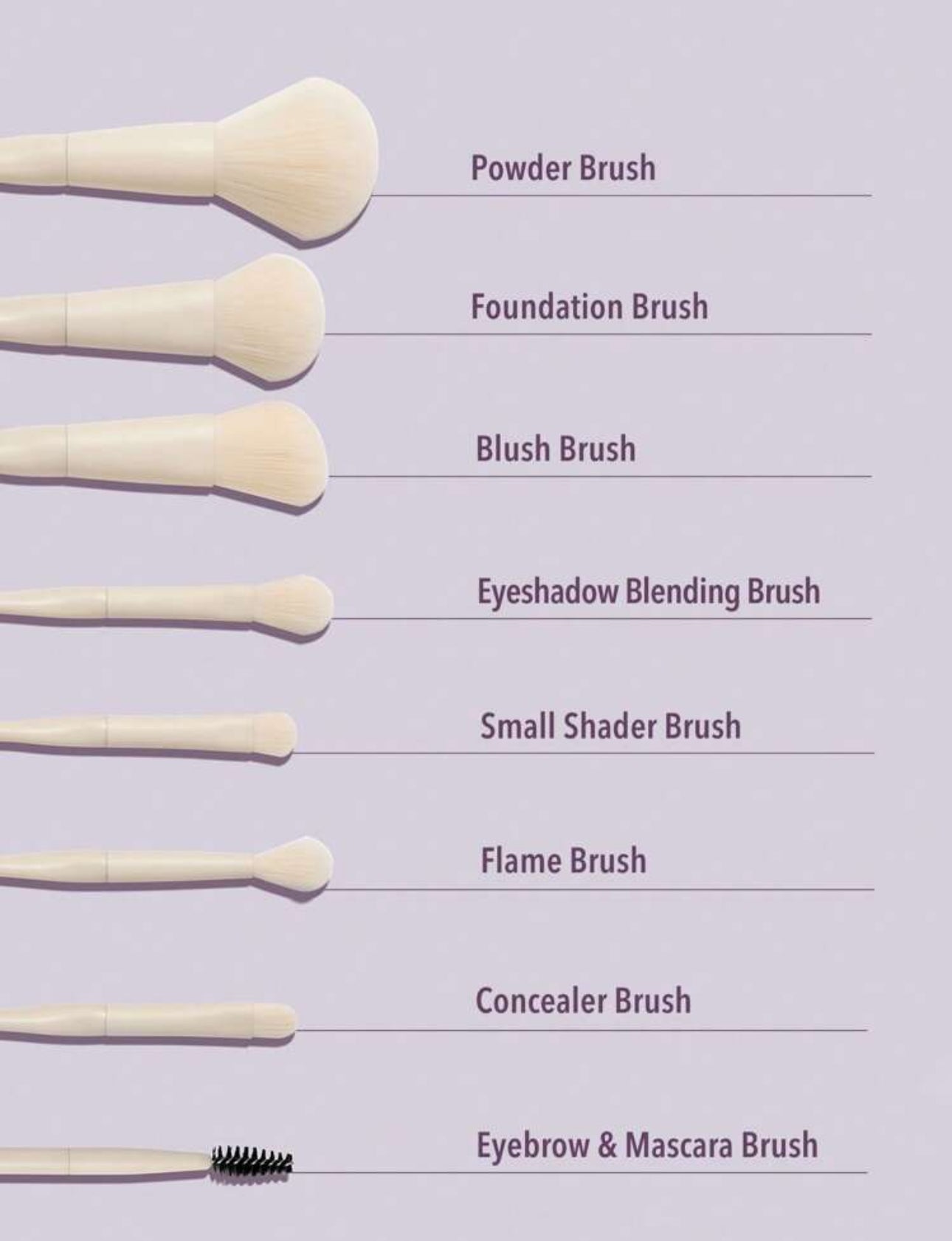 Sheglam Pro Core Brush Kit 8 pieces