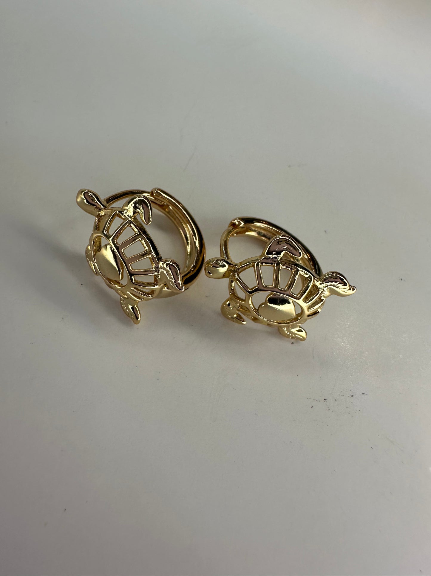 Turtle Hoops